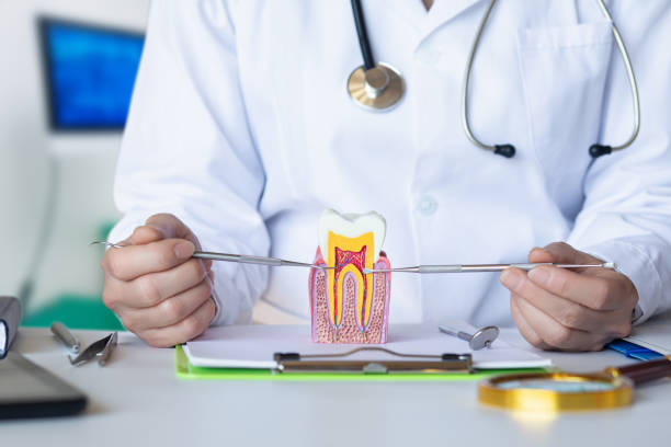 Best Emergency Tooth Extraction in Wartburg, TN